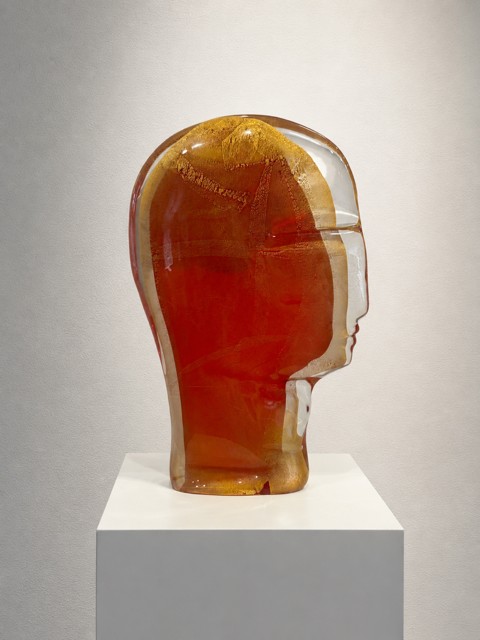 Image module