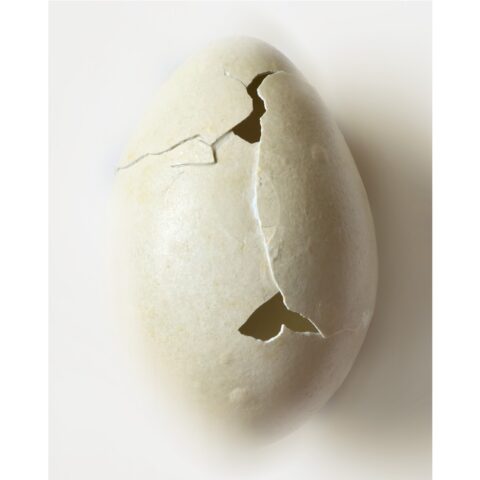 Galerie Chez Freddy art & design.