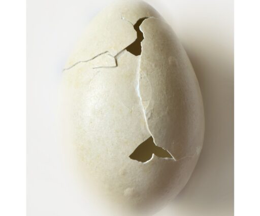 Galerie Chez Freddy art & design.