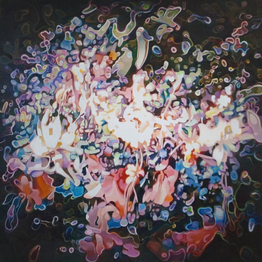 Image module