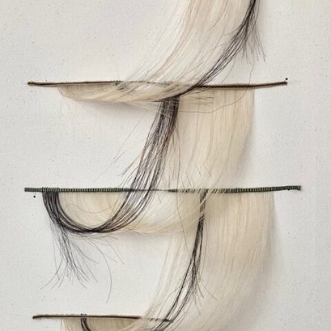 Artinfected
