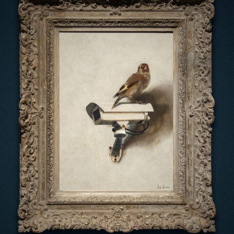 Joe Finch Art Gallery