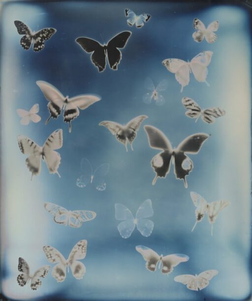 De Ontwikkelingen van Post-War & Contemporary Art. Donderdag 2 okt 18:00